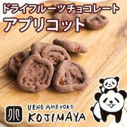 ドライアプリコットチョコレート