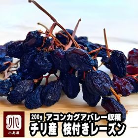 チリ産枝付きレーズン