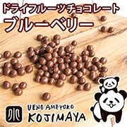 ワイルドブルーベリー チョコレート