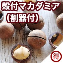殻付マカダミア(殻割り器付き)