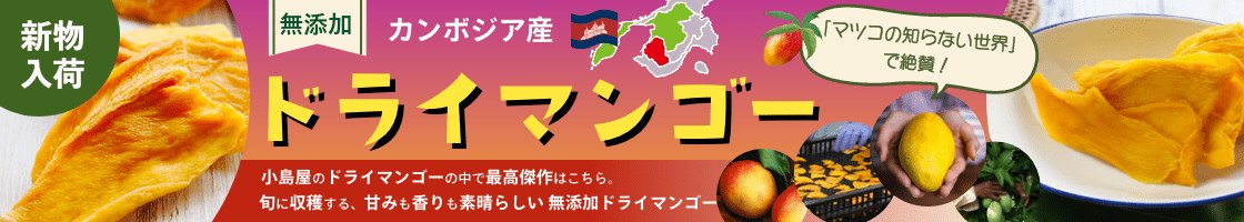 カンボジア産ドライマンゴー