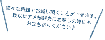 様々な路線でお越し頂くことができます。東京にアメ横観光にお越しの際にもお立ち寄りください♪