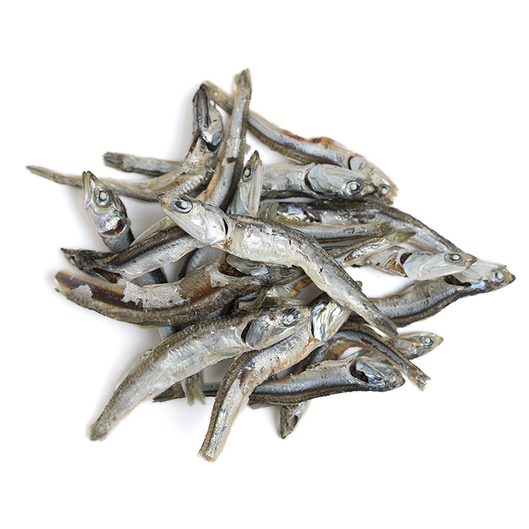 小魚（カタクチイワシ）