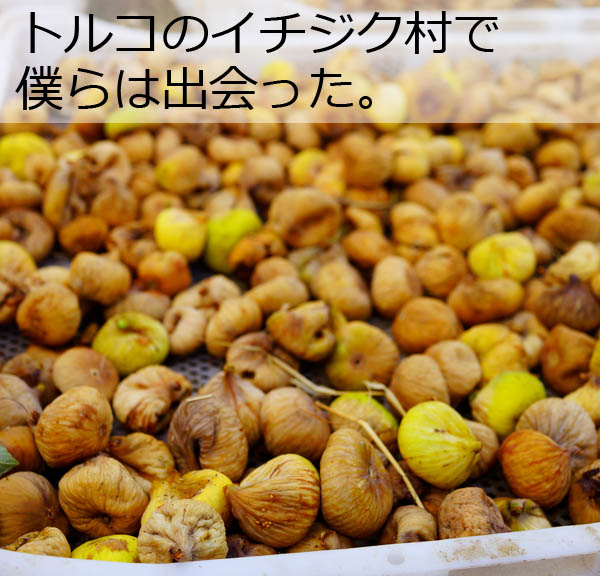 トルコ視察紀行 第三章 小島屋が行く トルコいちじく畑 視察後編 小島屋 トルコ視察紀行 第三章 小島屋が行く トルコいちじく畑 視察後編 小島屋