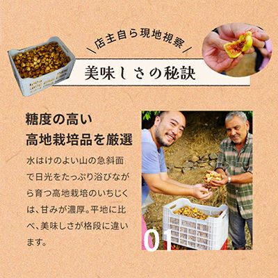 無添加：ドライいちじく［トルコ産］《360g》