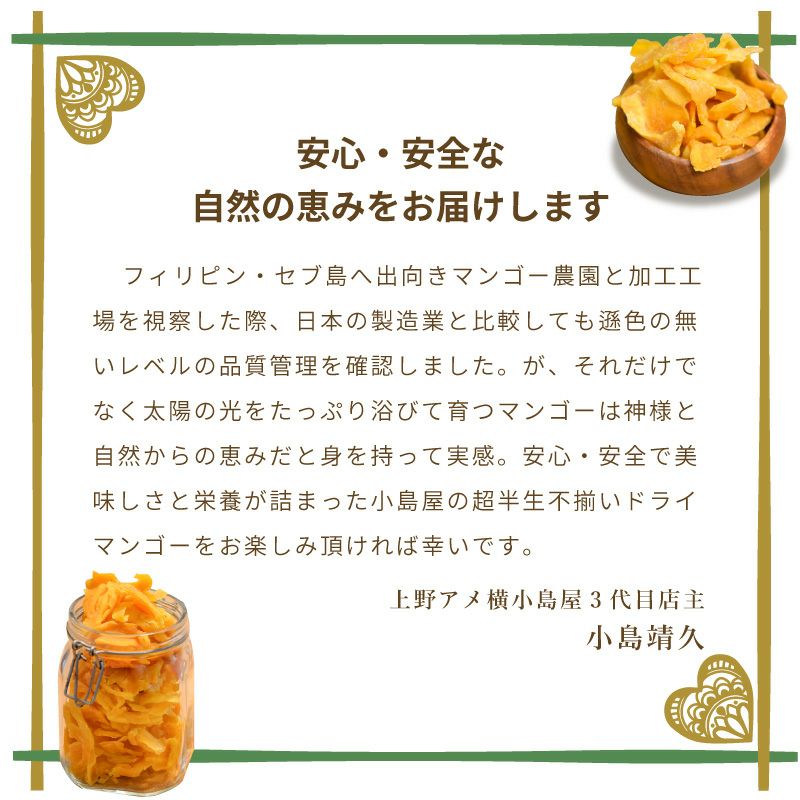 不揃い超半生ドライマンゴー［フィリピン・セブ島産］《250g》