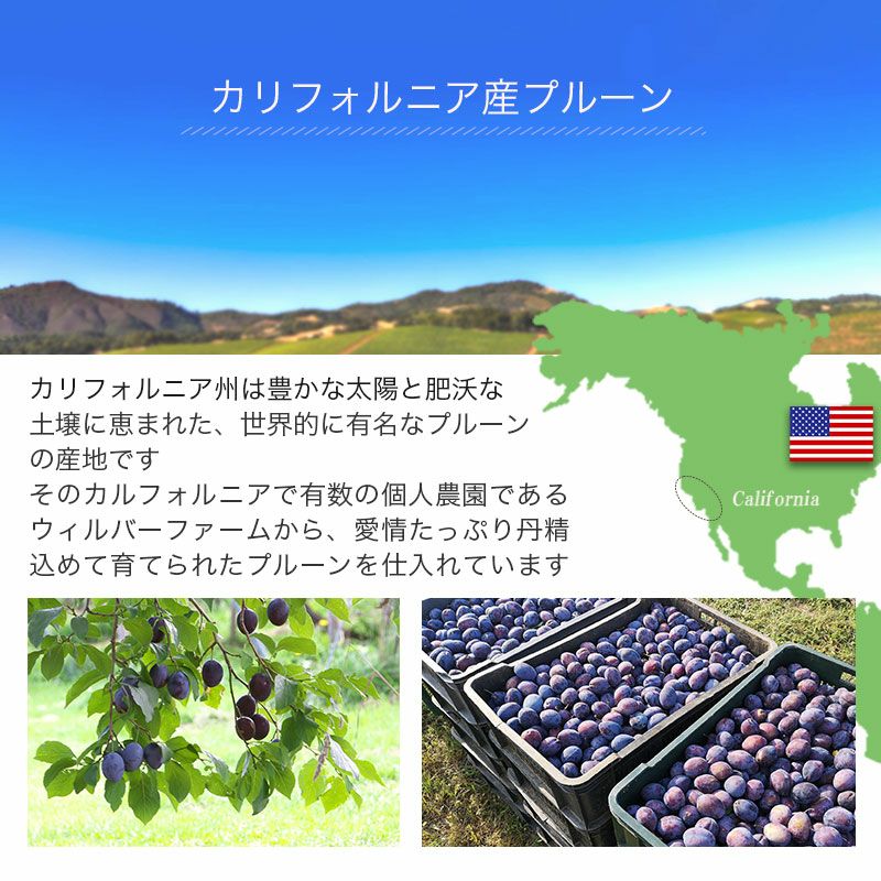 種抜きプルーン［カルフォルニア産］《1kg》