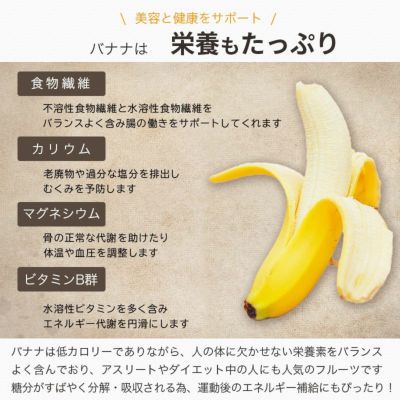 良質バナナのバナナチップス《500g》
