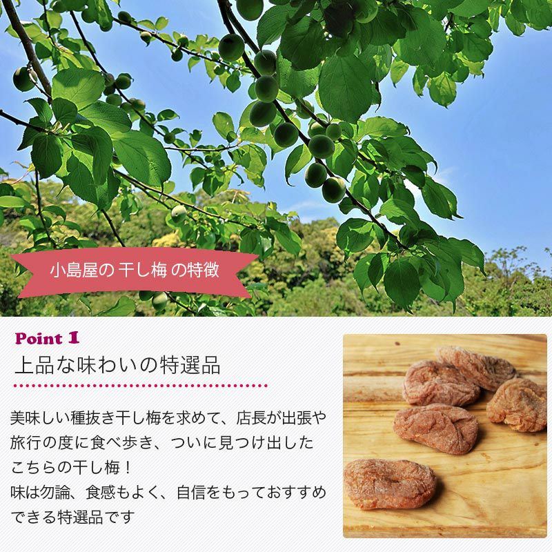 種抜き白干し梅干　果肉100％ 無添加　無選別　10kg入り 種抜き白干し梅 10kg 100%果肉 無添加 無選別