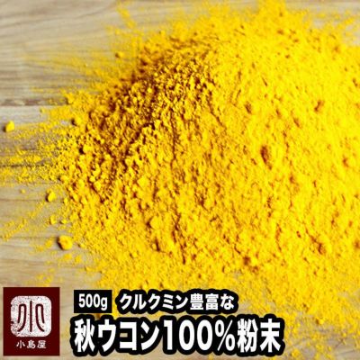 秋ウコン 粉末状 250g ドライフルーツとナッツの専門店 上野アメ横 小島屋