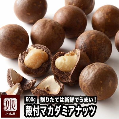 殻付ローストマカダミアナッツ 《500g》