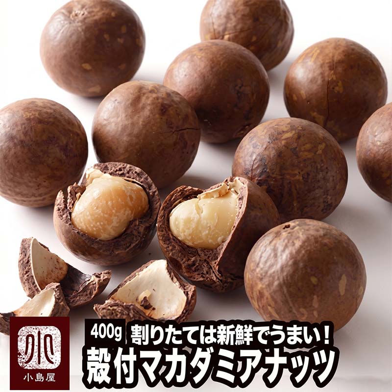 殻付ローストマカダミアナッツ 《500g》