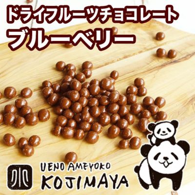 ワイルドブルーベリーチョコレート 《130g》