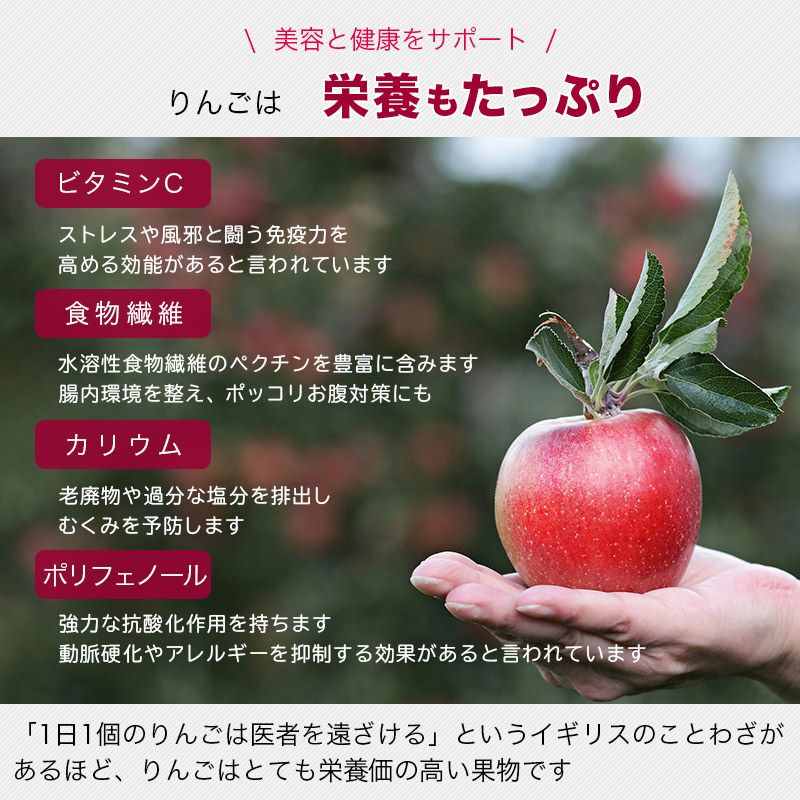 シナモン林檎《220g》［日本産］