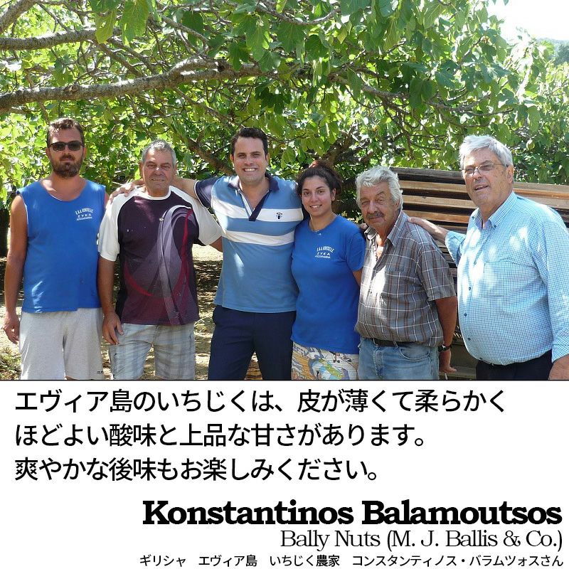 ドライいちじく（ギリシャ産）《500g》