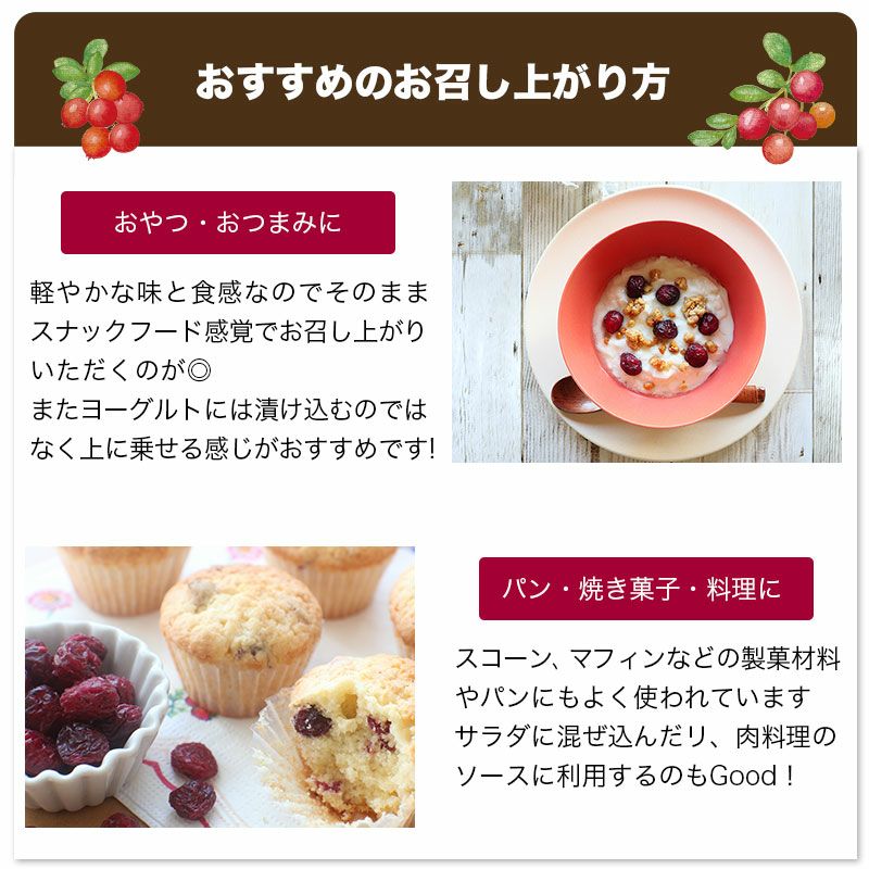 ＜ノンオイル ＆ 保存料不使用＞ ラトビア産クランベリー《100g》