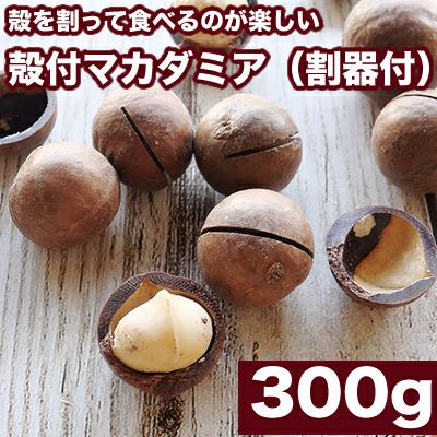 殻付ローストマカダミアナッツ（殻割り器付き） 《300g》