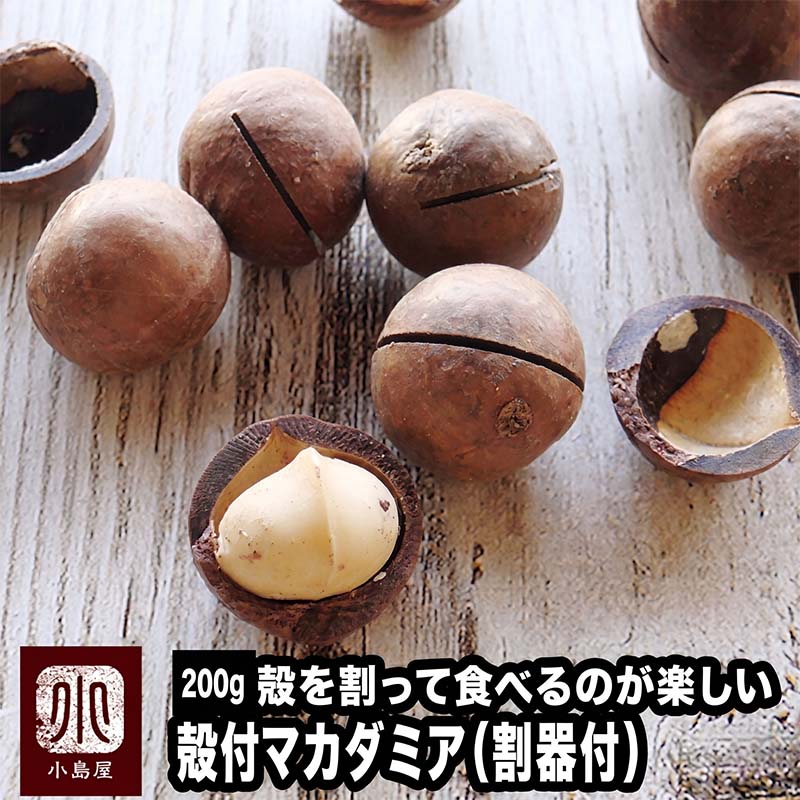 殻付ローストマカダミアナッツ（殻割り器付き） 《300g》