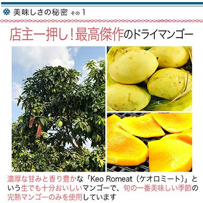 無添加　店主が一番美味いと思う至極のカンボジア産ドライマンゴー《100g》