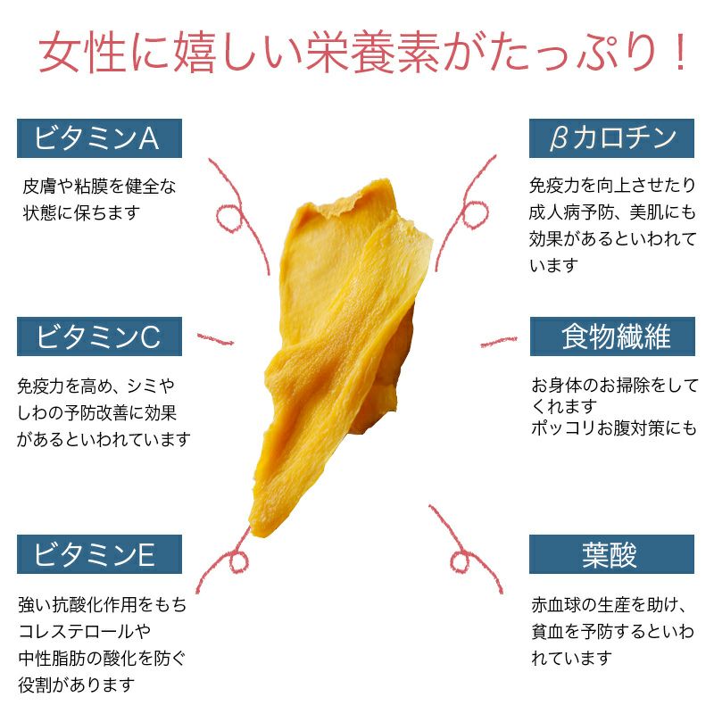 無添加　店主が一番美味いと思う至極のカンボジア産ドライマンゴー《100g》